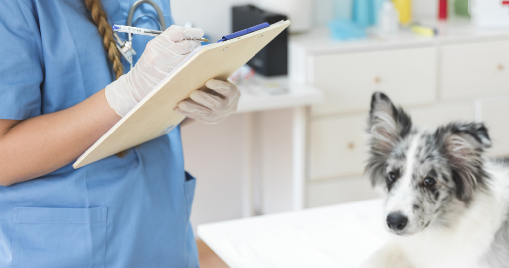 Ringworm Treatment for Pets in Fairfield, TX