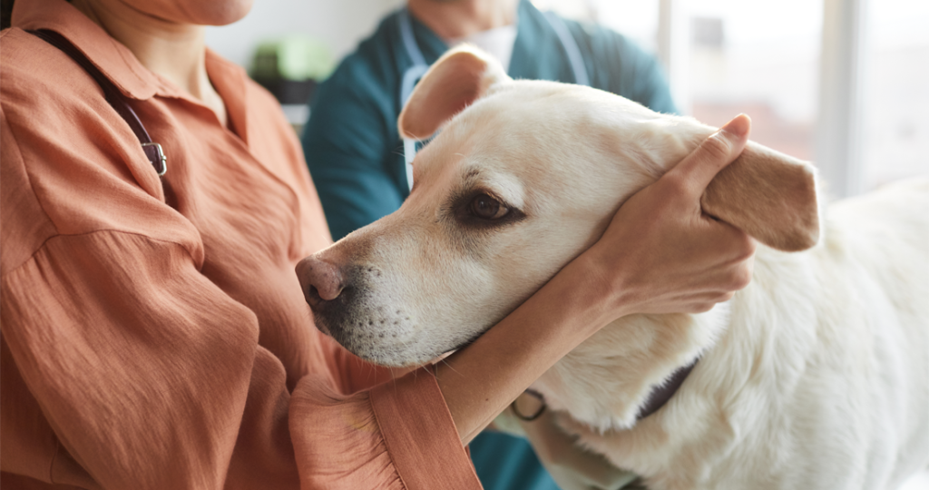 Biopsy & Histopathology Services for Pets in Fairfield, TX