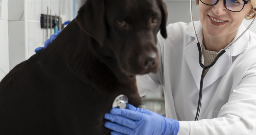Behavioral Medicine & Anxiety Treatment for Pets in Fairfield, TX