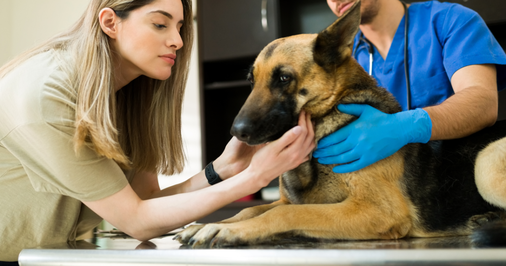 Advanced Wound Care & Healing Services in Fairfield, TX