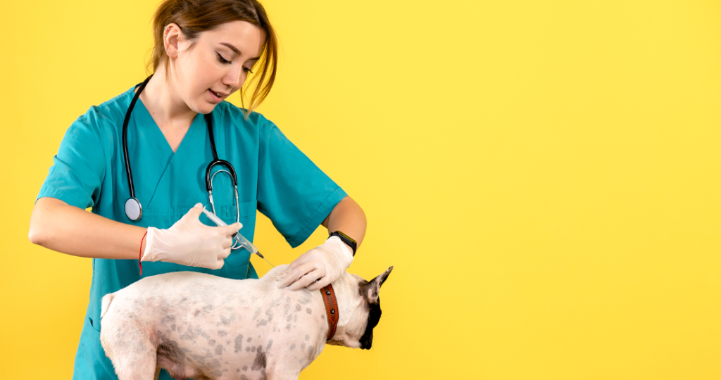 Rabies Prevention & Vaccination Requirements in Fairfield, TX
