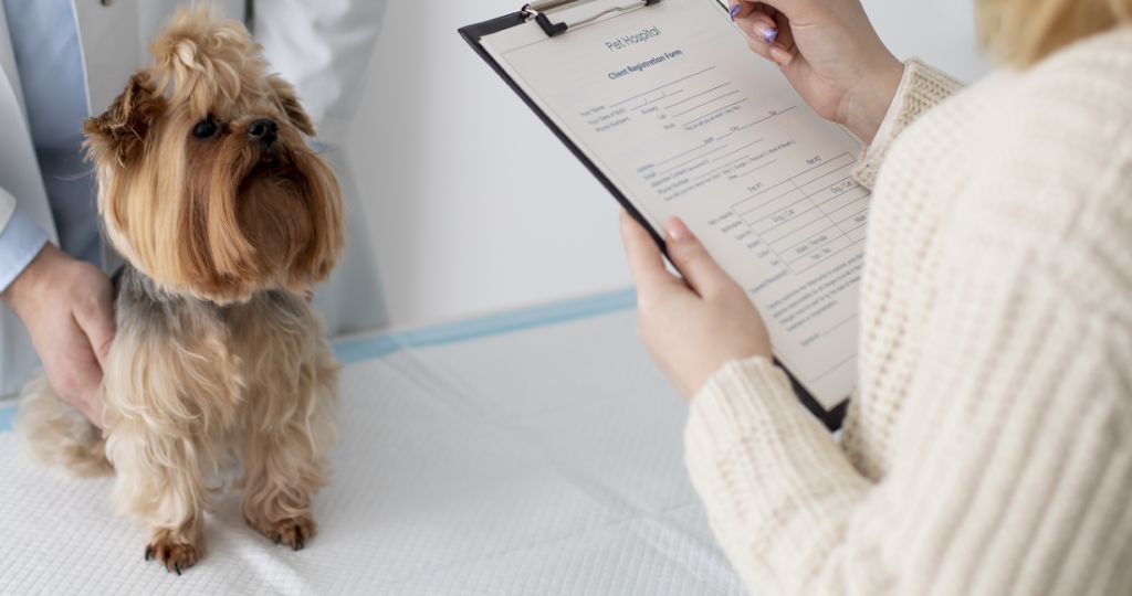 Excessive Thirst & Urination in Pets: Diagnosis in Fairfield, TX