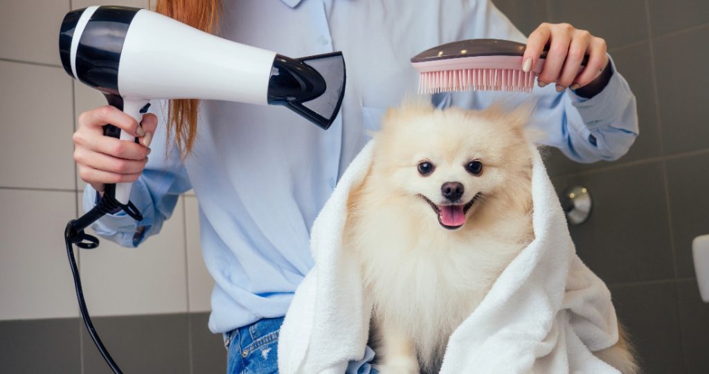 Pet Grooming Services